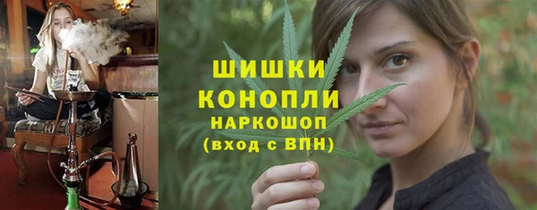 соль ск Арсеньев