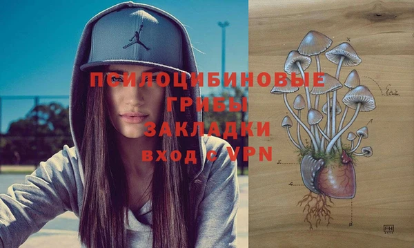 соль ск Арсеньев